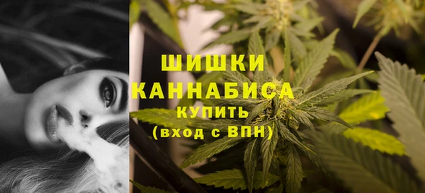 первитин Каменка