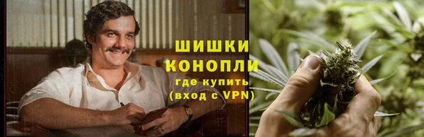 первитин Каменка