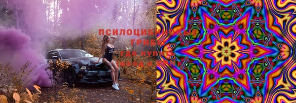 первитин Каменка
