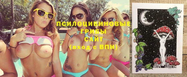 хмурый Каменногорск