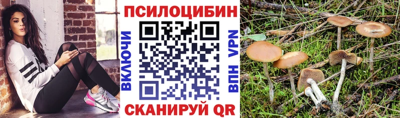 Купить где  Никольское  Псилоцибиновые грибы Magic Shrooms 